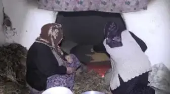 Eskinin Kuru Yemişi Çedeneli Kavurga' İçin Tanıtım Atağı