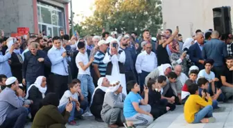 Işık Hadisesi' Yoğun İlgiyle İzlendi