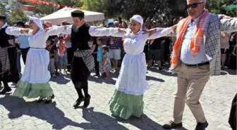 Çeşme'nin Sakız Koyunları ve Koçları 'En İyi' Seçilmesi İçin Yarıştırıldı