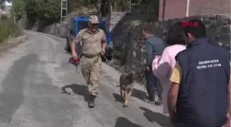 Arkadaşlarıyla Av İçin Gittiği Ormanda Kayıplara Karıştı