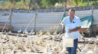 Hobi Olarak Başlamışlardı, Şimdi Taleplere Yetişemiyorlar