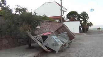 Kestane Karası' Rüzgarı Yıkıp,döktü