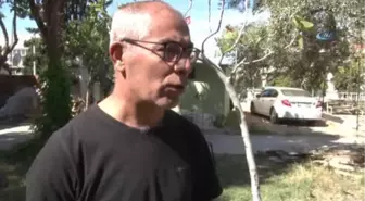 Kimlikte Sağ, Ehliyette Ölü Olduğunu Öğrenince Şok Geçirdi