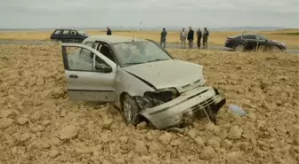 Günyüzü'nde Trafik Kazası, 2 Yaralı