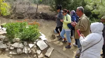 Tuncel Kurtiz Mezarı Başında Anıldı