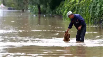 Beykoz'da Şiddetli Yağış Nedeniyle Taşan Dere Hayatı Felç Etti