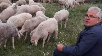 Belediye Başkanı Yılmaz, Huzuru Çobanlıkta Buldu