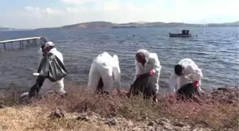 Foça'da Denize Sızan Akaryakıt Temizlendi