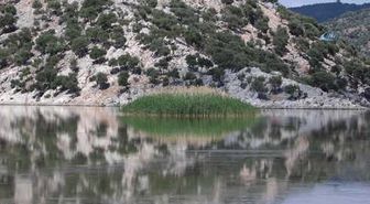 Meksika'dan Bafa'ya Gizemli Yolculuk