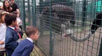 Hayvanları Koruma Günü'nde, Anaokulu Öğrencilerinden Dikkat Çeken Etkinlik