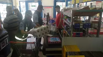 Kula Belediyesi Zabıta Müdürlüğü'nden Market Denetimi