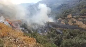 Yenipazar'ın Neron'u Yakalandı