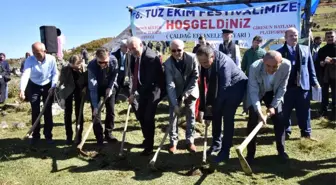 İki Bin Rakımlı Dağa Tuz Ektiler