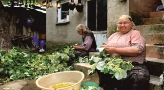 Kadın Çiftçilere Destek