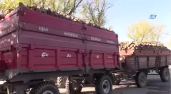 Uşak Şeker Fabrikası'nın Kampanya Açılışı Gerçekleşti