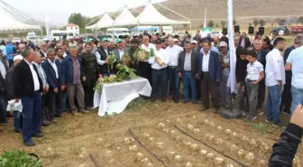Damla Sulama ile Şeker Pancarında Verim Artışı Sağlanıyor