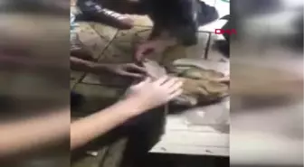 Denizli O Kediden Kötü Haber
