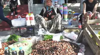 Kazdağı Kestanesi, Geçim Kaynakları Oldu