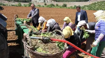 Baştuğ, 'Çiftçilerimize Zirai Alet Hibe Desteği Şart'