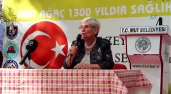 Canan Karatay: 'Zeytin Altındır, Zeytinyağı Altın Suyudur'