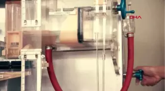 İstanbul Üniversitesi ve İş Bankası Monıac'ı Yeniden Çalıştırdı