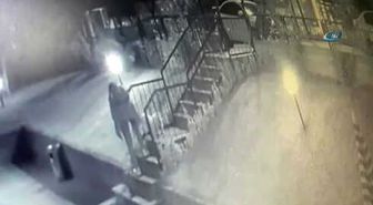 Köpeği Veterinerin Bahçesine Terk Etti, Kameraya Böyle Yakalandı