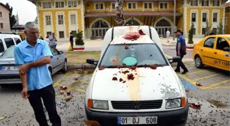 Dolandırıcısını Megafonla Afişe Eden Adam, Bu Kez Zeytinini, Salçasını Yola Döktü