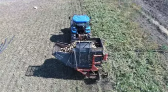 Elazığ'ın Bu Yıl Yeterli Yağış Almaması Pancarda Üretimi Azalttı