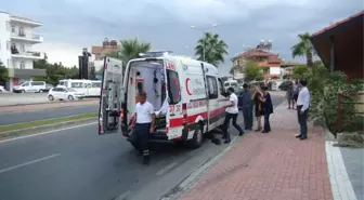 Manavgat'ta Otomobil Palmiyeye Çarptı: 1 Yaralı