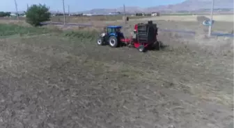 Tarlada Pancar Mesaisi