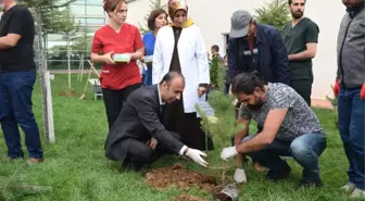 Malatya Eğitim ve Araştırma Hastanesi'nde Anlamlı Etkinlik