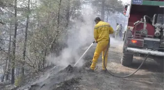 Amanoslardaki Orman Yangınını Soğutma Çalışması Sürüyor