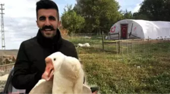 Üniversite Öğrencisi Genç, Kurduğu Kaz Çiftliğiyle Paraya Para Demiyor