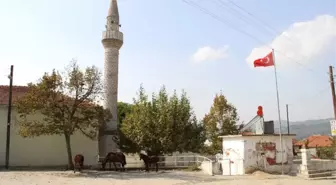 Herkes Bu Söylentinin Doğru Çıkması İçin Dua Ediyor