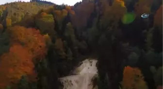 Giresun'da Sonbaharın Büyüsü