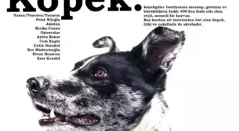 Asmalı Sahne'nin Yeni Oyunu 'Köpek' İzleyicisiyle Buluşuyor