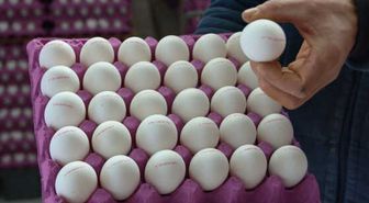 Yumurta Üreticilerinden İndirim Uyarısı: Herkesin Makul Karla Satması Gerekiyor