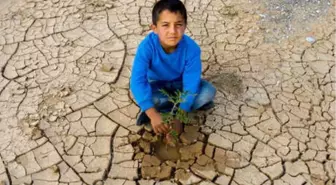 Küresel İklim Değişikliği Fotoğraf Yarışması' Sonuçlandı