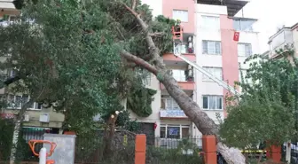 Aydın'da Fırtına Hayatı Olumsuz Etkiledi