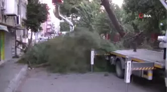 Aydın'da Fırtına Hayatı Olumsuz Etkiledi