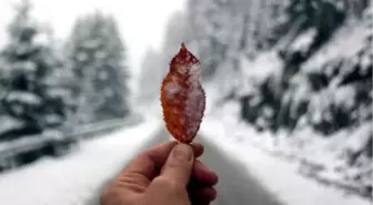 Bolu'nun Yüksek Kesimlerine İlk Kar Düştü