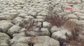 Burdur Öğrenciler Burdur Gölü'ne Su Döktü