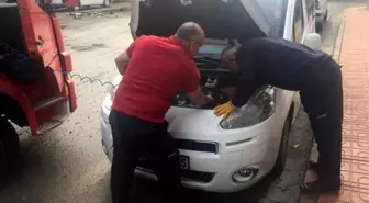 Siirt'te Araç Motoruna Sıkışan Kedi Kurtarıldı