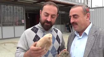 Bu Ekmeğe Fırıncılar Bile Şaştı