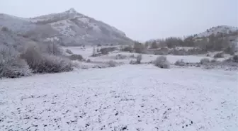 Posof Beyaza Büründü