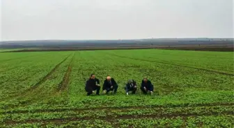 Tekirdağ Kanolada Ülke 1'incisi