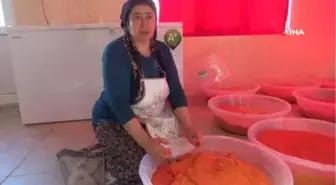 Katkısız Organik Tarhanaya İlgi