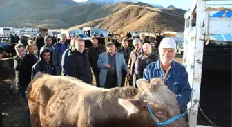 Oltu Canlı Hayvan Pazarında Yaprak Kımıldamadı