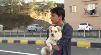 Sahiplendiği Görme Engelli Köpek, Tek Dostu Oldu