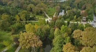 Atatürk Arboretumu Hayran Bırakıyor